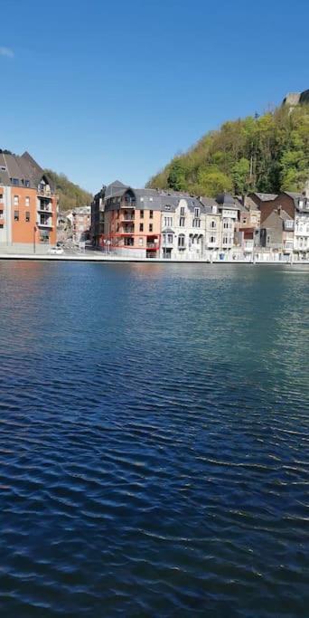 Appartement Avec Vue Sur Meuse Dinant Exterior photo